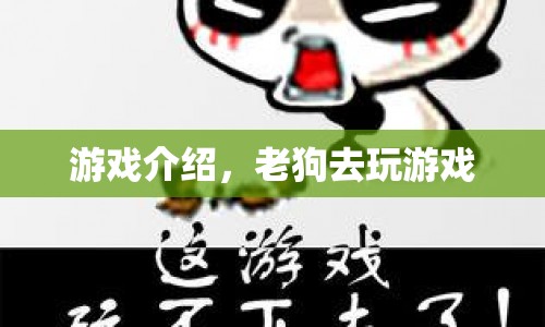 老狗的游戲之旅，探索未知，挑戰(zhàn)自我