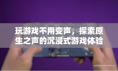 原生之聲，探索無變聲的沉浸式游戲體驗(yàn)