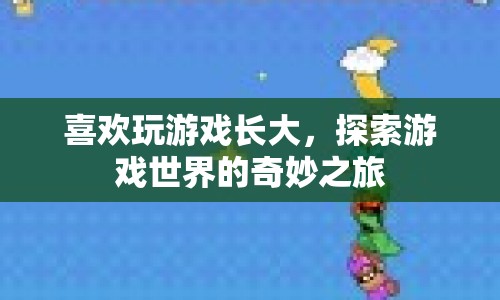 探索游戲世界的奇妙之旅，游戲玩家的成長(zhǎng)之旅