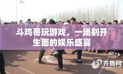 斗雞哥游戲盛宴，娛樂與激情的碰撞