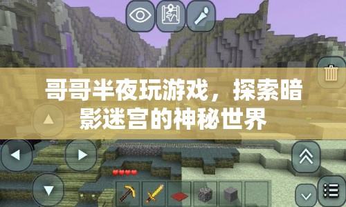 哥哥深夜探索暗影迷宮，游戲世界中的神秘冒險(xiǎn)