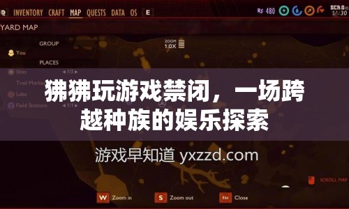 狒狒禁閉中的游戲探索，跨越種族的娛樂盛宴