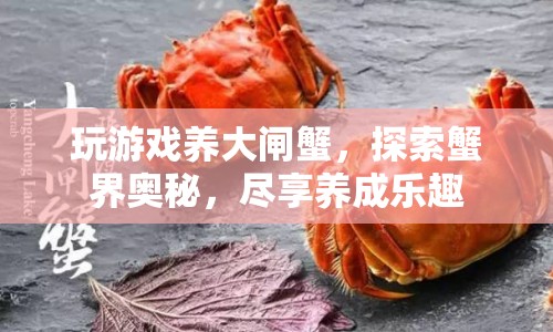 探索蟹界奧秘，養(yǎng)成大閘蟹的養(yǎng)成樂趣