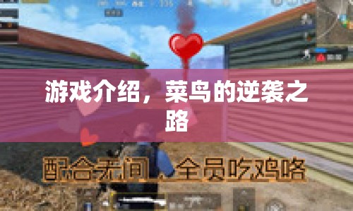 菜鳥(niǎo)的逆襲之路，游戲介紹