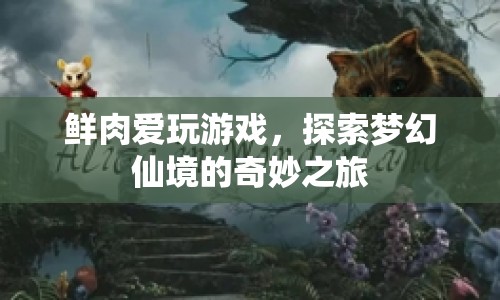 鮮肉探索夢幻仙境，奇妙之旅開啟