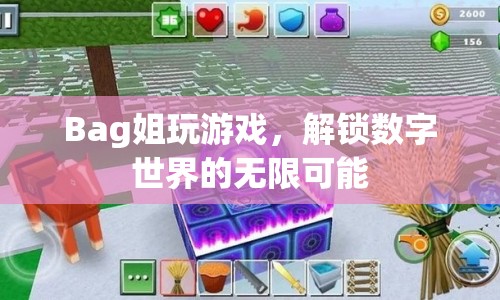 解鎖數(shù)字世界的無限可能，Bag姐的游戲之旅