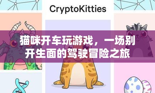 貓咪的駕駛冒險，一場別開生面的游戲之旅