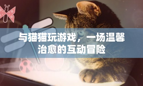 與貓咪共舞，溫馨治愈的互動(dòng)冒險(xiǎn)之旅