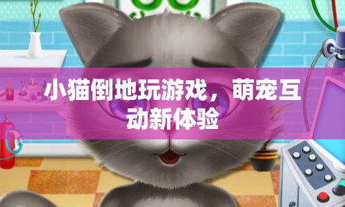 萌寵新玩法，小貓倒地玩游戲，趣味互動新體驗