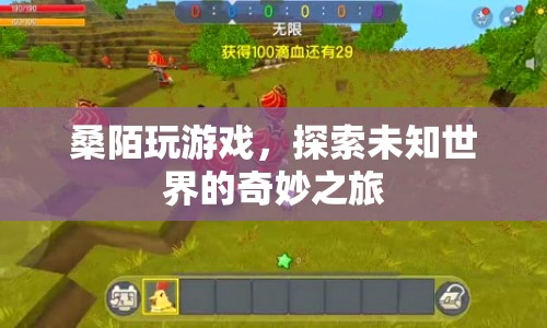 探索未知世界的奇妙之旅，桑陌的冒險(xiǎn)游戲之旅