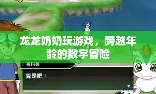 龍龍奶奶的數(shù)字冒險(xiǎn)，跨越年齡的精彩游戲之旅