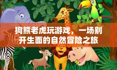 狗熊老虎玩游戲，自然冒險之旅開啟