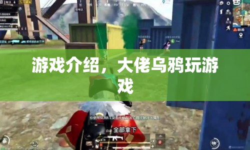 大佬烏鴉的游戲之旅，探索未知，挑戰(zhàn)極限