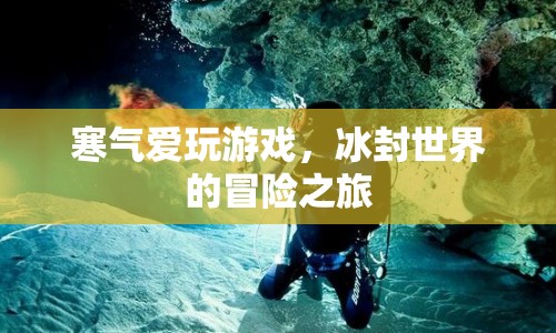 冰封世界的冒險(xiǎn)之旅，寒氣愛玩游戲