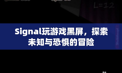探索未知與恐懼的冒險(xiǎn)，Signal游戲黑屏之謎