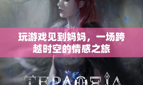 游戲里的媽媽?zhuān)粓?chǎng)跨越時(shí)空的情感之旅