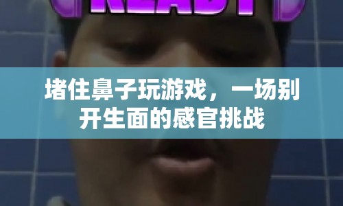 堵住鼻子玩游戲，一場獨特的感官挑戰(zhàn)體驗