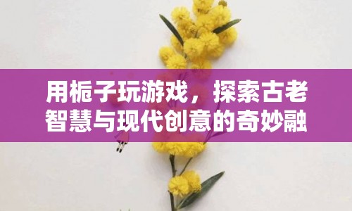 梔子游戲，古老智慧與現(xiàn)代創(chuàng)意的奇妙碰撞