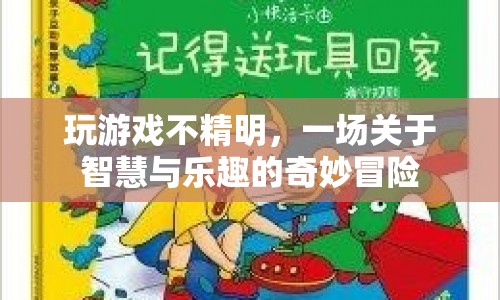 一場(chǎng)關(guān)于智慧與樂(lè)趣的奇妙冒險(xiǎn)