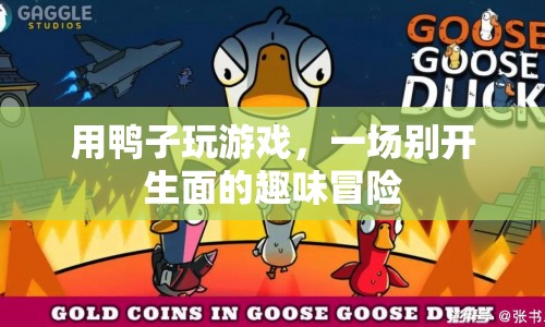 鴨子游戲，一場趣味橫生的冒險(xiǎn)之旅