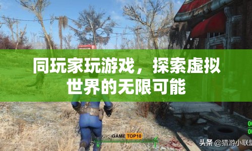 探索虛擬世界的無限可能，與玩家共游