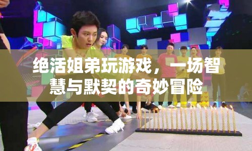 絕活姐弟，智慧與默契的奇妙冒險(xiǎn)
