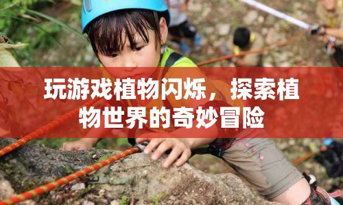探索植物世界的奇妙冒險，植物閃爍游戲
