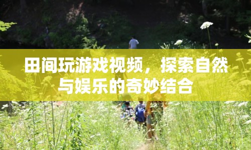 田間游戲，探索自然與娛樂的奇妙結(jié)合