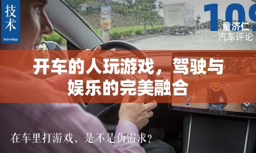 駕駛與娛樂(lè)的完美融合，開(kāi)車的人玩游戲