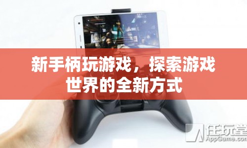 新手柄開啟游戲新世界，探索無(wú)限可能
