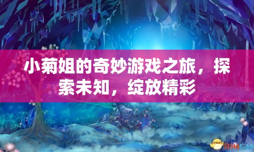 小菊姐的奇妙冒險，探索未知，綻放精彩