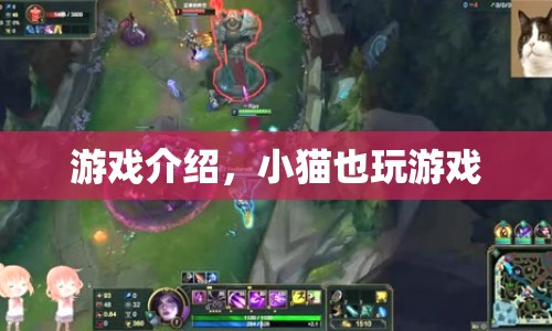 小貓也玩游戲，趣味游戲介紹
