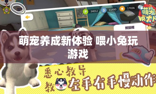 萌寵養(yǎng)成新體驗，和小兔一起玩游戲