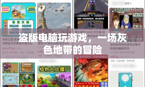 盜版電腦游戲，灰色地帶的冒險(xiǎn)之旅