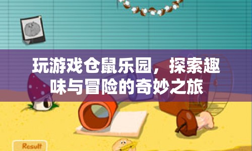 倉(cāng)鼠樂(lè)園，開(kāi)啟趣味與冒險(xiǎn)的奇妙之旅