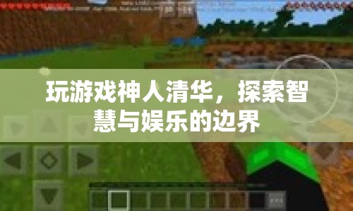 清華學(xué)霸游戲大神，智慧與娛樂的邊界探索