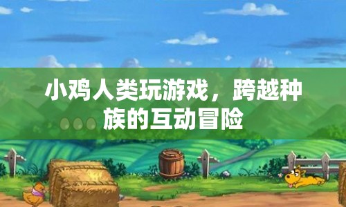 小雞與人類，跨越種族的互動冒險