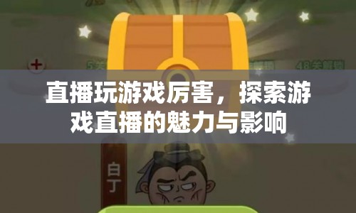 探索游戲直播的魅力與影響，游戲高手的直播盛宴