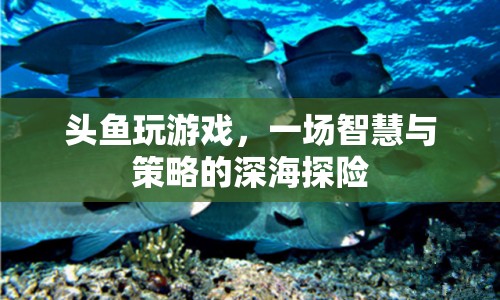 頭魚智慧深海探險(xiǎn)，策略與智慧的碰撞
