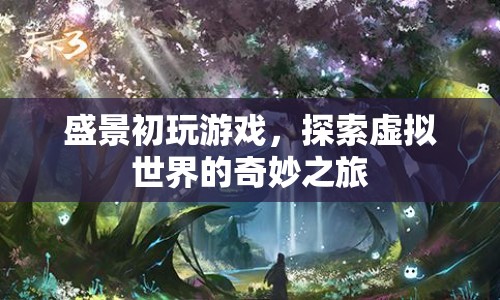 盛景初，探索虛擬世界的奇妙之旅