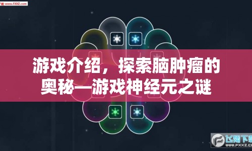 游戲神經(jīng)元之謎，探索腦腫瘤奧秘的冒險之旅