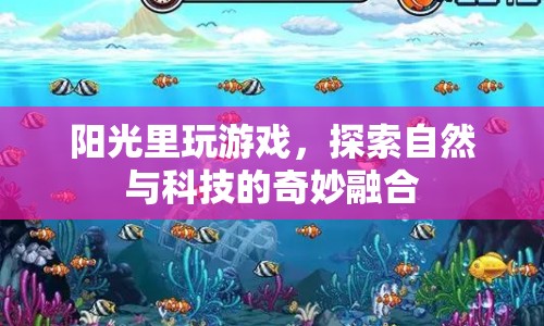 陽光里玩游戲，探索自然與科技的奇妙融合