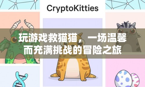 拯救貓咪，一場溫馨又充滿挑戰(zhàn)的冒險(xiǎn)之旅