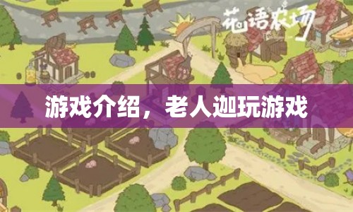 老人迦玩游戲，探索游戲世界的奇妙之旅