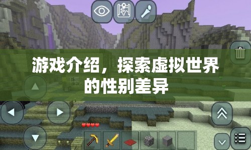 探索虛擬世界中的性別差異，游戲介紹