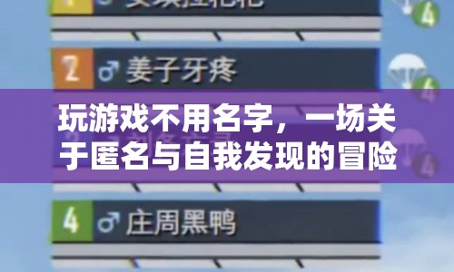 匿名冒險，一場關(guān)于自我發(fā)現(xiàn)的神秘之旅