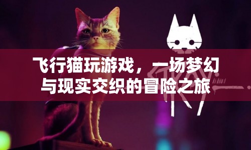 飛行貓玩游戲，夢(mèng)幻與現(xiàn)實(shí)交織的冒險(xiǎn)之旅