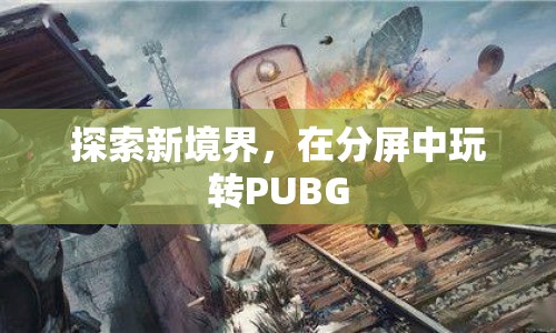 在分屏中玩轉PUBG，探索新境界  第1張