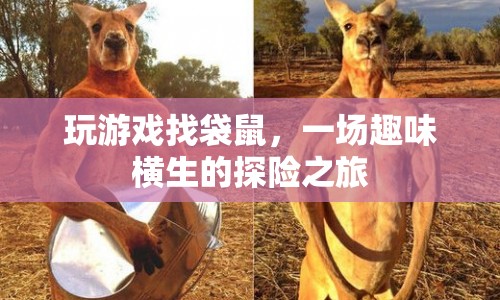 袋鼠探險，一場趣味橫生的游戲之旅