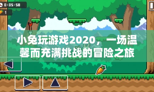 小兔玩游戲2020，溫馨挑戰(zhàn)，冒險之旅開啟